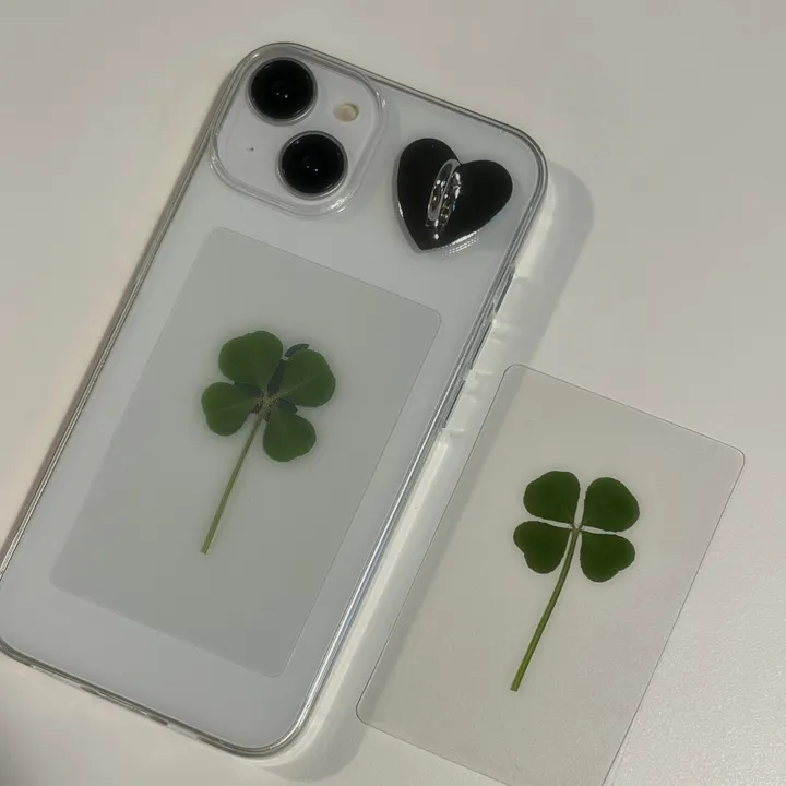 [케이스 세트🍀] 생화 네잎클로버카드 케이스 세트 Real clover card phonecase set  (행운선물/졸업선물/수능선물/스승의날선물/어버이날선물/친구선물) 상세 이미지 6