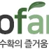 마켓 이미지