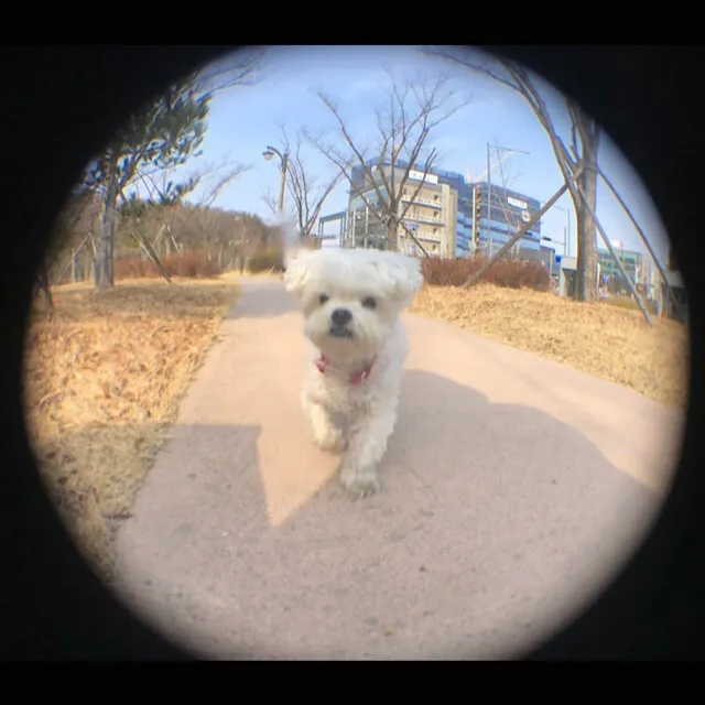 상품 썸네일