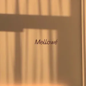 Mellowe [수입]high quality 홈웨어 / 데일리 프렌치무드 레이스 소프트 탑 - 에이블리 스토어
