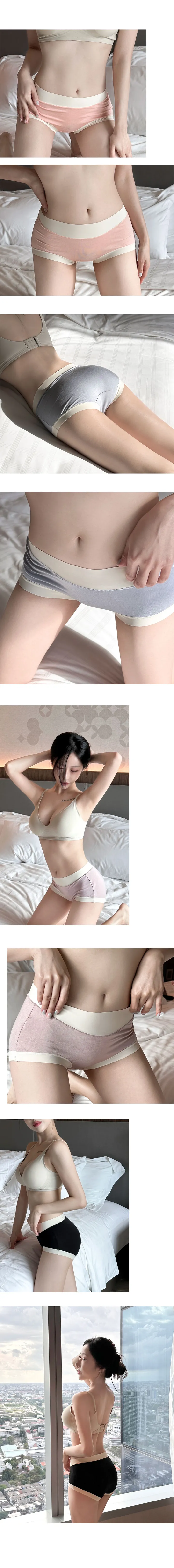 ✨중독주의 인생팬티✨ 편해팬티 - 팬티세트 데일리팬티 편한 모달팬티 심리스팬티 무봉제팬티 배색 노라인 상세 이미지 14