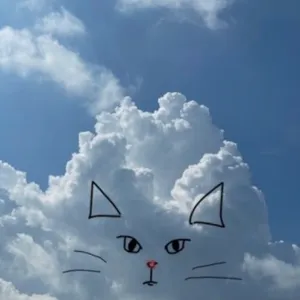 마켓 이미지