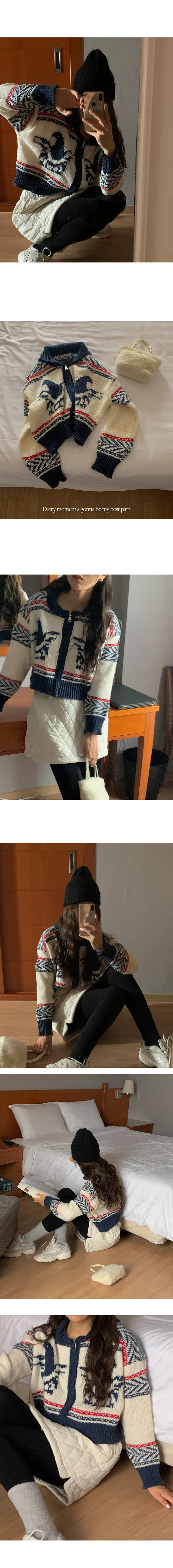 나이니