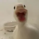 마켓 이미지