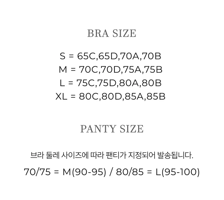 [🚀당일출고/ 6CM왕뽕심리스] 옆볼륨 들뜸없이 모아주는브라 왕뽕 뽕브라 팬티 세트 볼륨 푸쉬업브라 노와이어 글램 가슴커보이는 편한브라 왕뽕패드 가슴골 작은가슴 푸쉬업브라 상세 이미지 3
