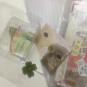 프로필 이미지