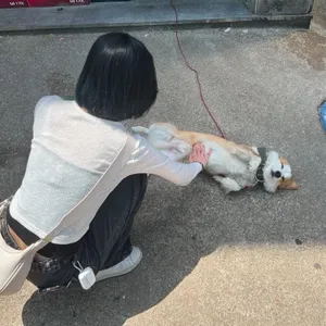 프로필 이미지