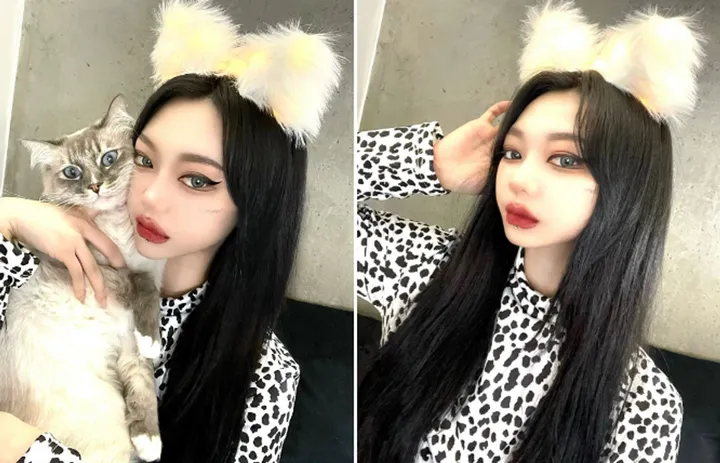 주폭 [초커+목줄세트]키치 하트,포켓걸,실버벨 초커 남자친구 이벤트남친선물 이벤트소품 코스프레소품 목줄초커 초커세트 상세 이미지 88