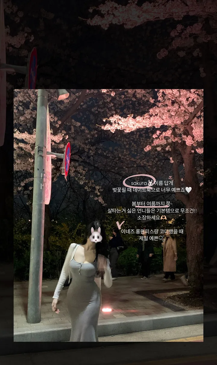 [여름까지쭉❤️국내제작]사쿠라cd-최저가우체국특급등기/벚꽃룩 봄코디 여름니트 여름가디건 봄가디건 여름코디 여름원피스 가디건 크롭가디건 여름 봄 상세 이미지 9