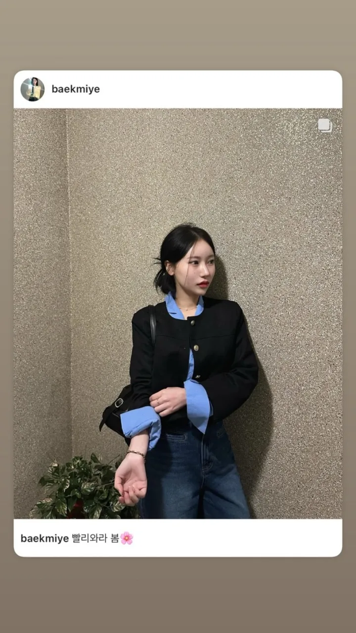 (단독진행/강매템❤️) 노카라넥 금장 단추 스웨이드 자켓 상세 이미지 1