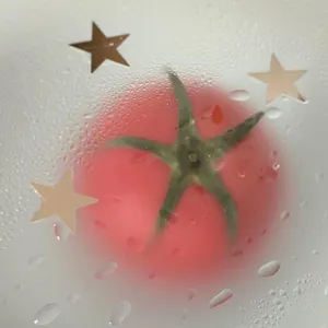마켓 이미지