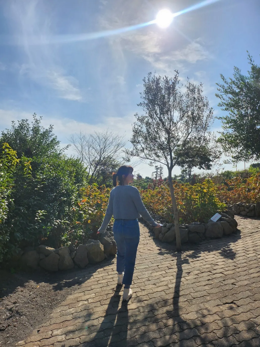 스타일 콘텐츠 이미지