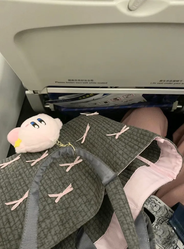 발레코어 핑크레이 토트백 데일리백 상세 이미지 9