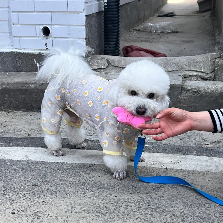 상품 썸네일