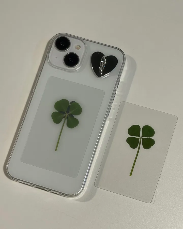 [케이스 세트🍀] 생화 네잎클로버카드 케이스 세트 Real clover card phonecase set  (행운선물/졸업선물/수능선물/스승의날선물/어버이날선물/친구선물) 상세 이미지 7