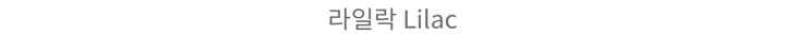 [당일발송/힙한 막가방 가능]브링브링 반짝 에코백 상세 이미지 22