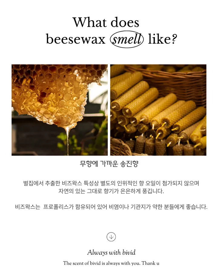 신상할인비비드 밀랍 꿀벌캔들 대용량 선물포장 이사 답례품 상세 이미지 4
