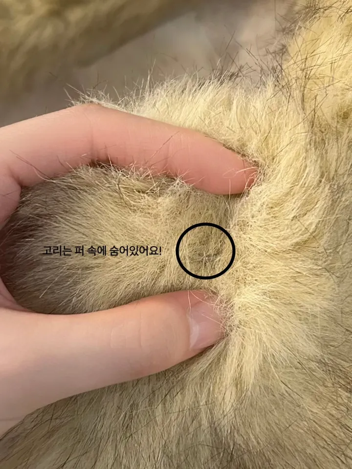 코트 상품상세 이미지-S1L35