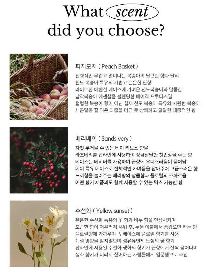 [선물포장] 비비드 피크닉 캔들 소품 집꾸미기 상세 이미지 5
