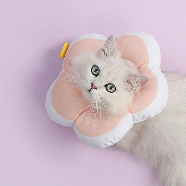 상품 썸네일