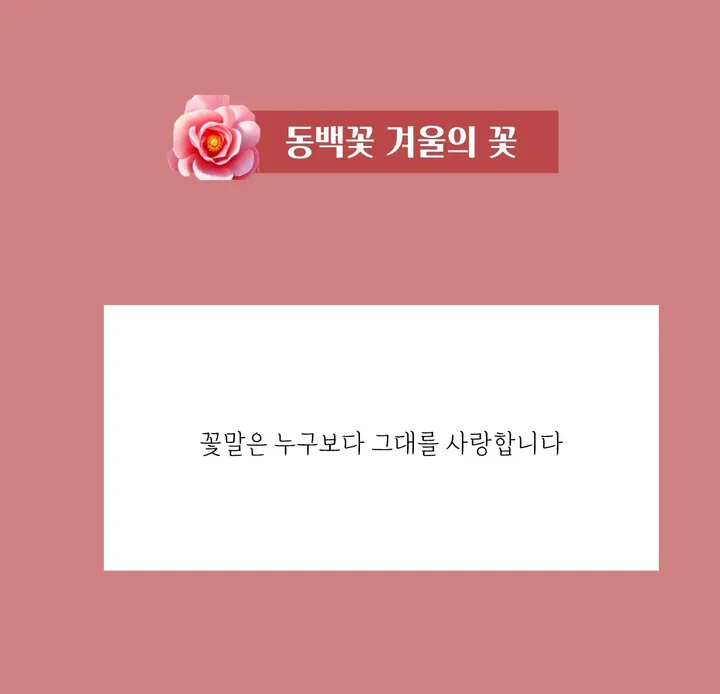 핸드메이드 전통 기법 꽃 8colors 써지컬 진주 매듭 팔찌 (사은품 증정) 상세 이미지 26