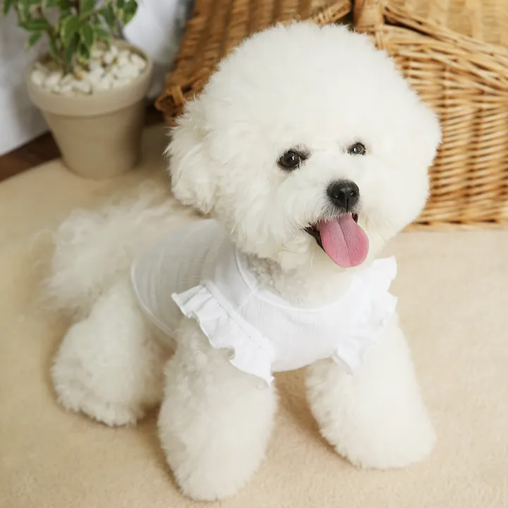 상품 썸네일