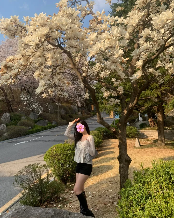 SET💘[인간벚꽃🌸/군살커버핏-]플라워 패턴 밴딩 끈나시 리본 프릴 쉬폰 크롭 뷔스티에 + 살탐방지 긴팔 루즈핏 여리 가디건 세트 (3col):리틀페어리 상세 이미지 28