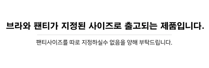 [볼륨업❤~XXL까지!👌] 보들보들한 심리스 밀착 볼륨업 노와이어 여성속옷 브라팬티세트 8색상 / N6050 상세 이미지 40