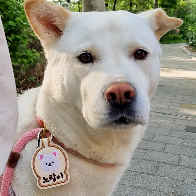 상품 썸네일