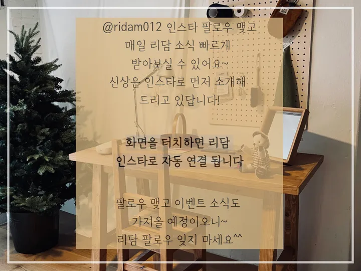 봄신상 리본 에코백 캔버스 가방(캐쥬얼, 리본포인트백) 상세 이미지 3