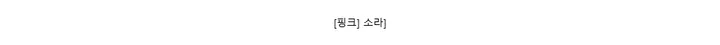 [핑크] 소라]