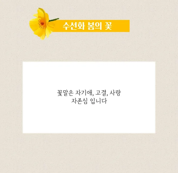 핸드메이드 전통 기법 꽃 8colors 써지컬 진주 매듭 팔찌 (사은품 증정) 상세 이미지 10