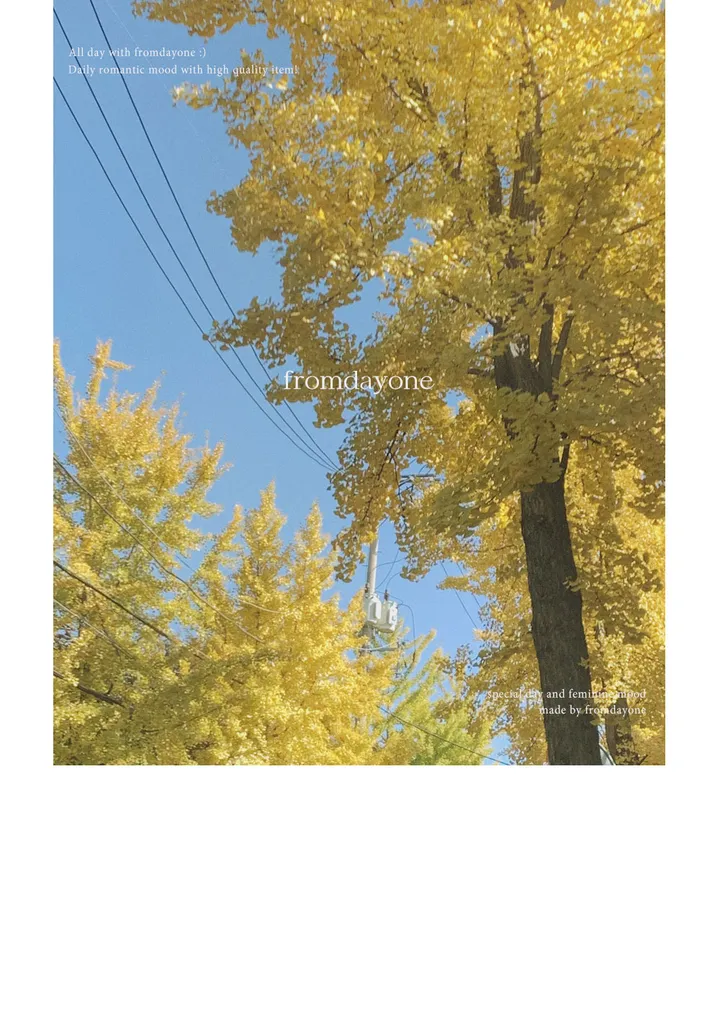 여름하객룩🖤[La belle rose]샬리 타이 블라우스 상세 이미지 24