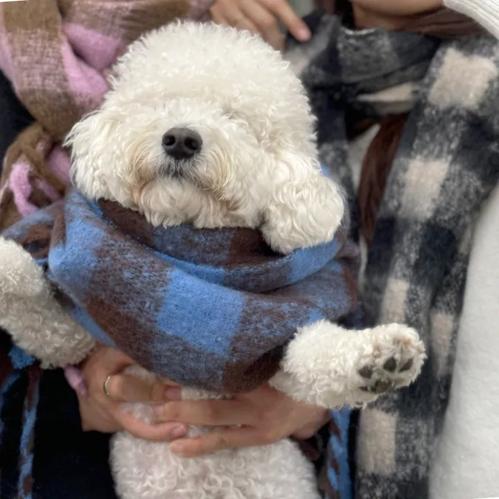 [빠른당일출고/세안밴드 사은품/1200개돌파]커플 목도리 폭닥폭닥 포근한 롱머플러 커플 체크 목도리 상세 이미지 10