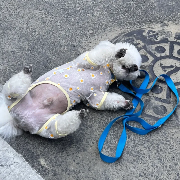 상품 썸네일