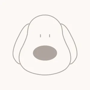 마켓 이미지