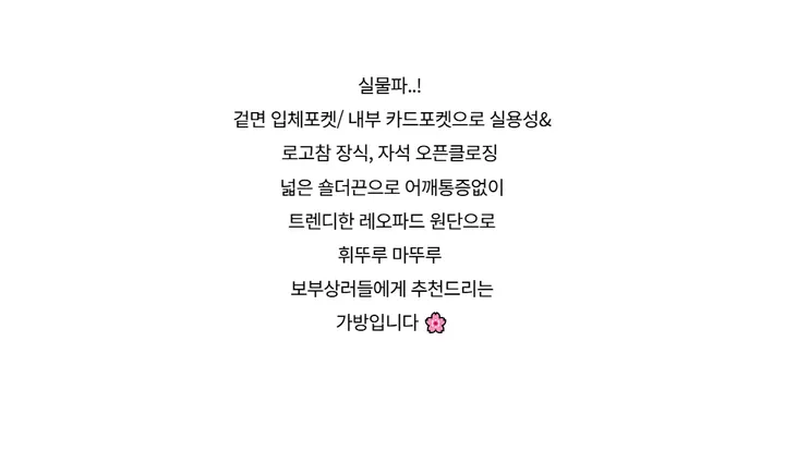 가방 -S1L29