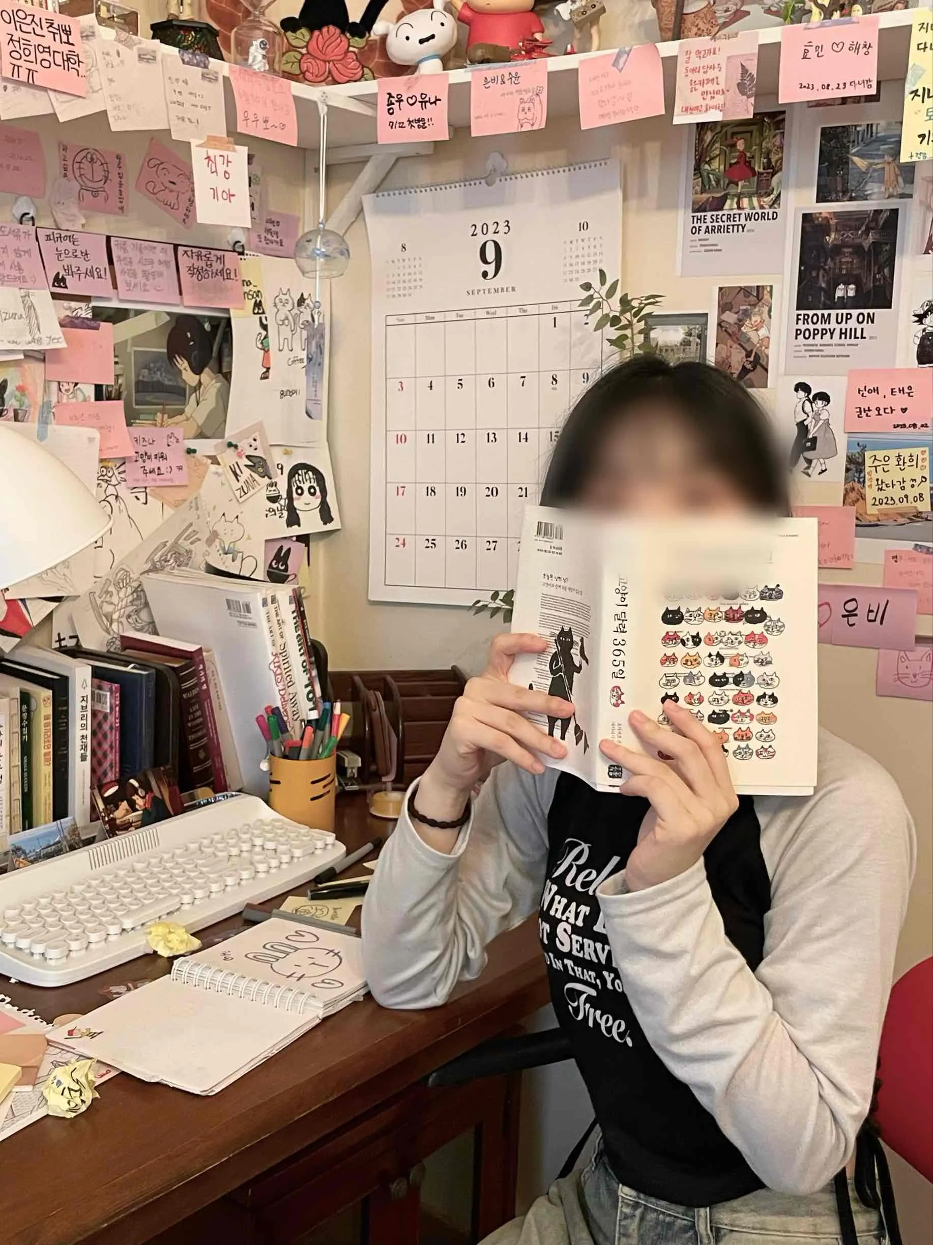 스타일 콘텐츠 이미지