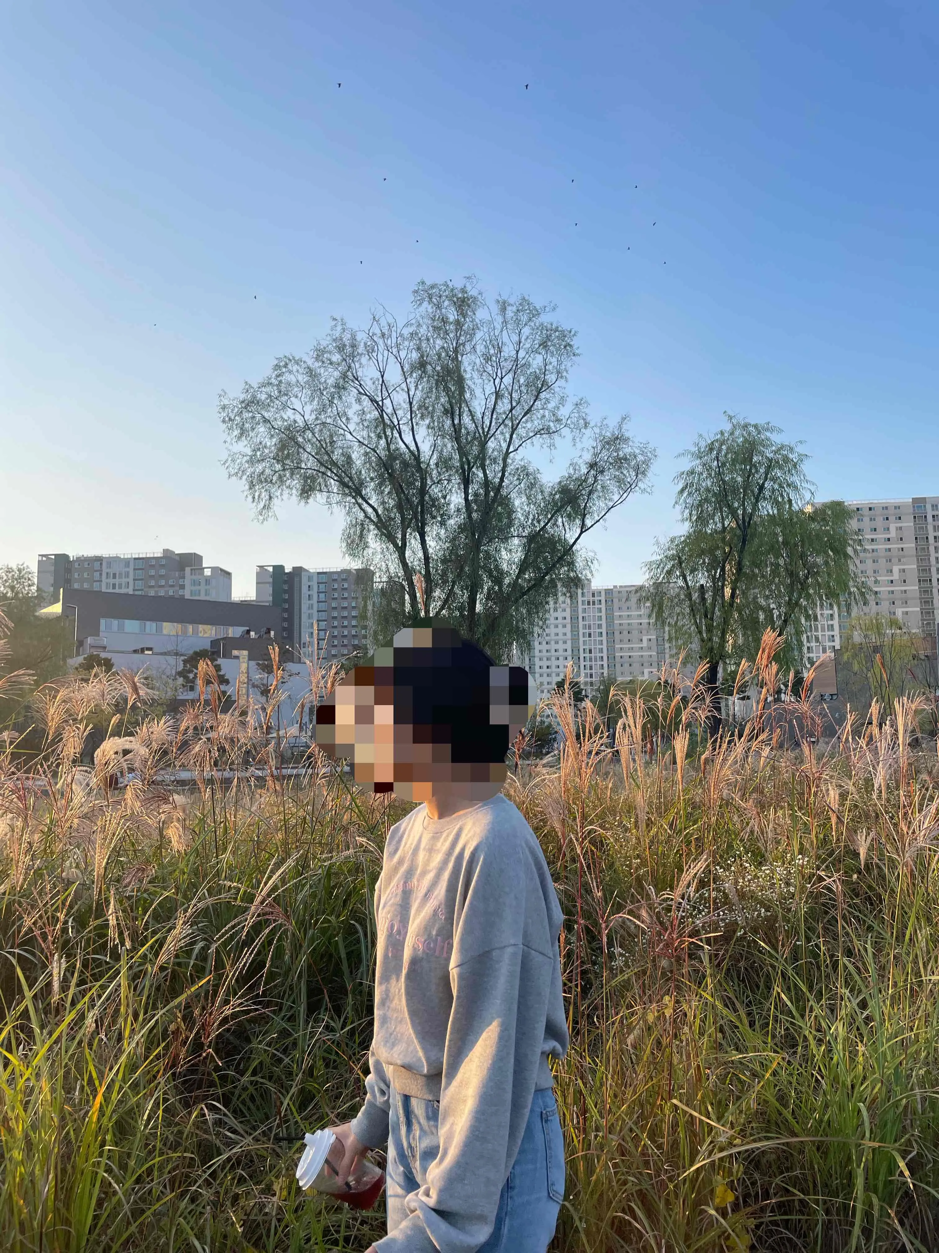 스타일 콘텐츠 이미지