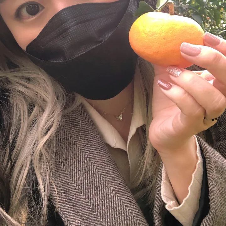 [올써지컬] 미니나비 목걸이_실버/로즈골드 상세 이미지 9