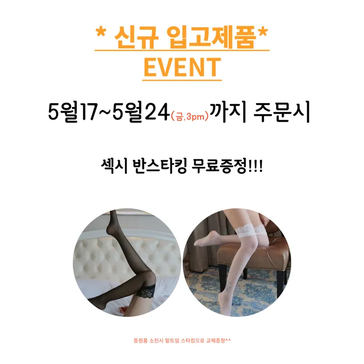 🚀당일출고👙세트🔥레이스 상/하의 끈 조절 란제리 브라 팬티 섹시 시스루 빅사이즈 언더웨어 여캠 bj 프리사이즈 화이트데이 이벤트/기념일 속옷 3color 상세 이미지 3