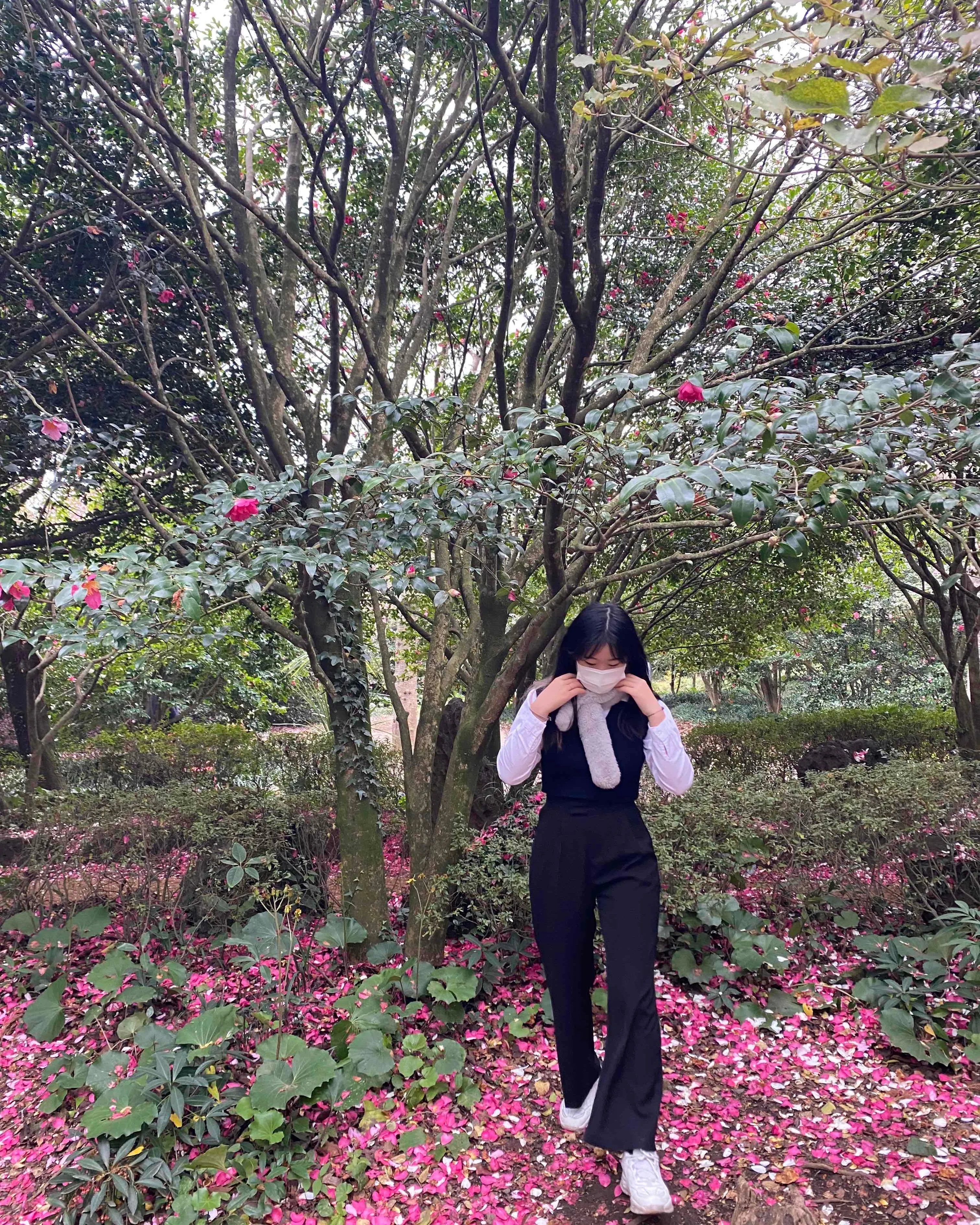 스타일 콘텐츠 이미지