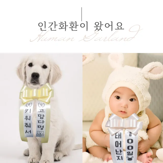 상품 썸네일