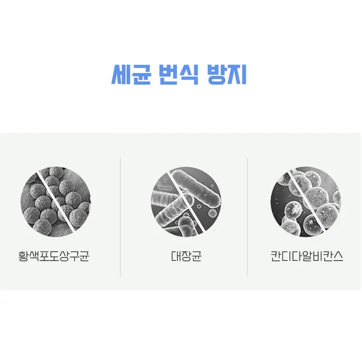 챠밍 [5장묶음] 이너핏 햄라인 심리스 캔디색상 힙커버 산소팬티 상세 이미지 12