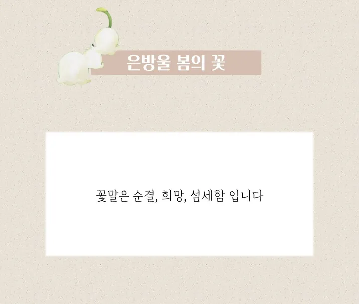 핸드메이드 전통 기법 꽃 8colors 써지컬 진주 매듭 팔찌 (사은품 증정) 상세 이미지 14