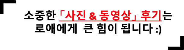 [스티커증정/당일/주문폭주]아이패드 투명 실리콘 케이스 상세 이미지 32