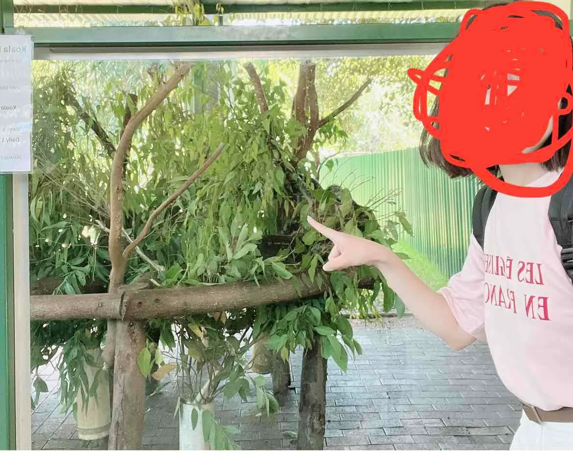 스타일 콘텐츠 이미지