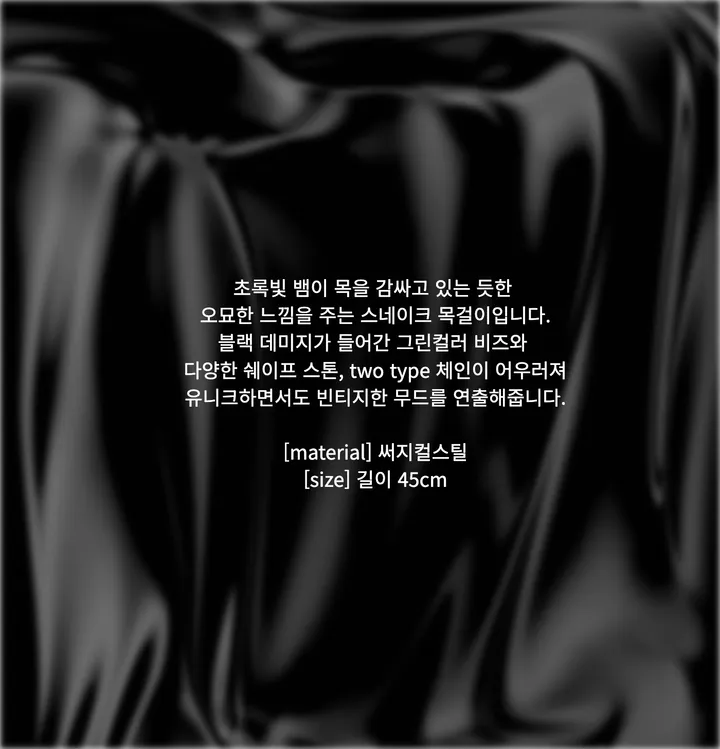 악세사리 -S5L1