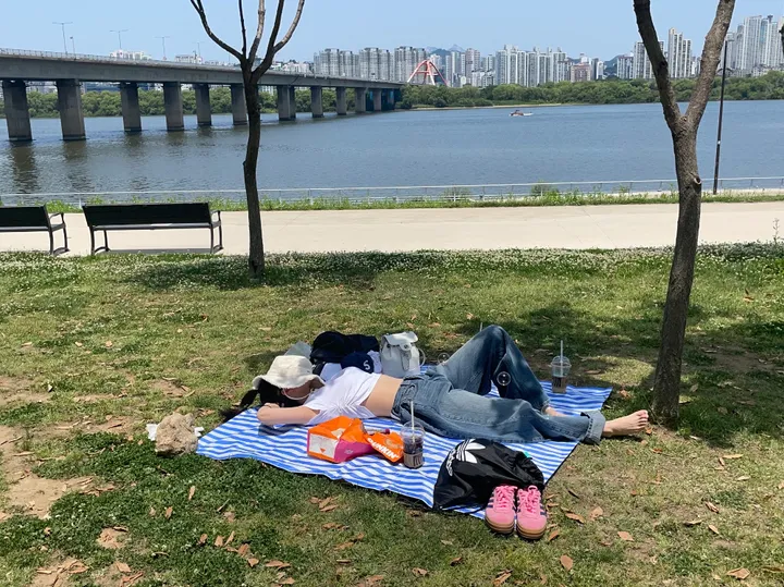 [모델전부소장&교복바지&폴딩데님]𝐄𝐥𝐥𝐞 𝐖𝐢𝐝𝐞 𝐏𝐓 상세 이미지 60