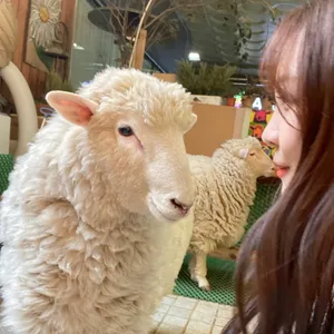 프로필 이미지